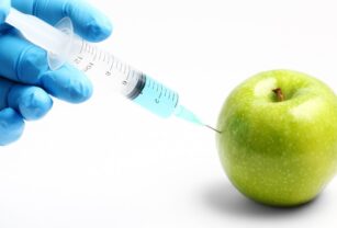 alimentos-transgenicos