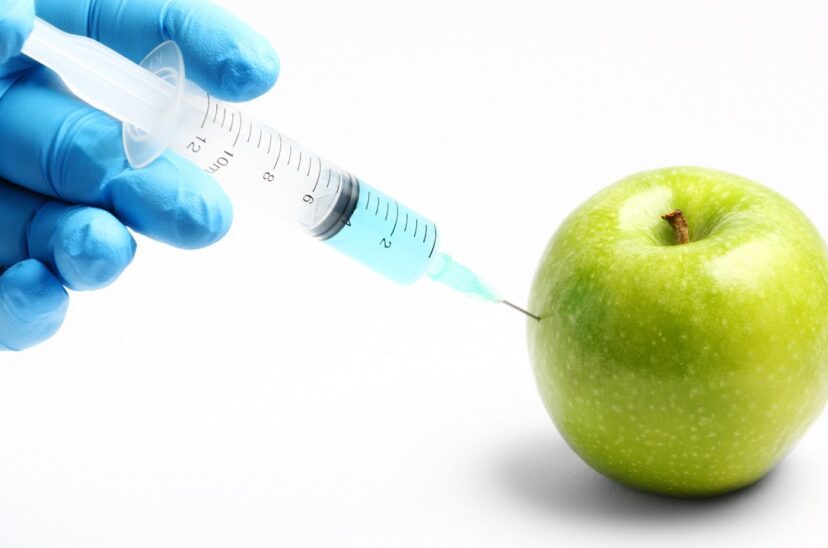 alimentos-transgenicos