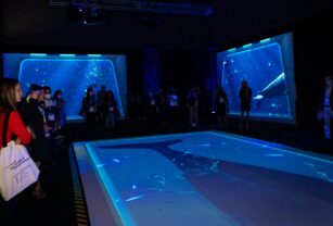 THE IMMERSIVE ZONE
