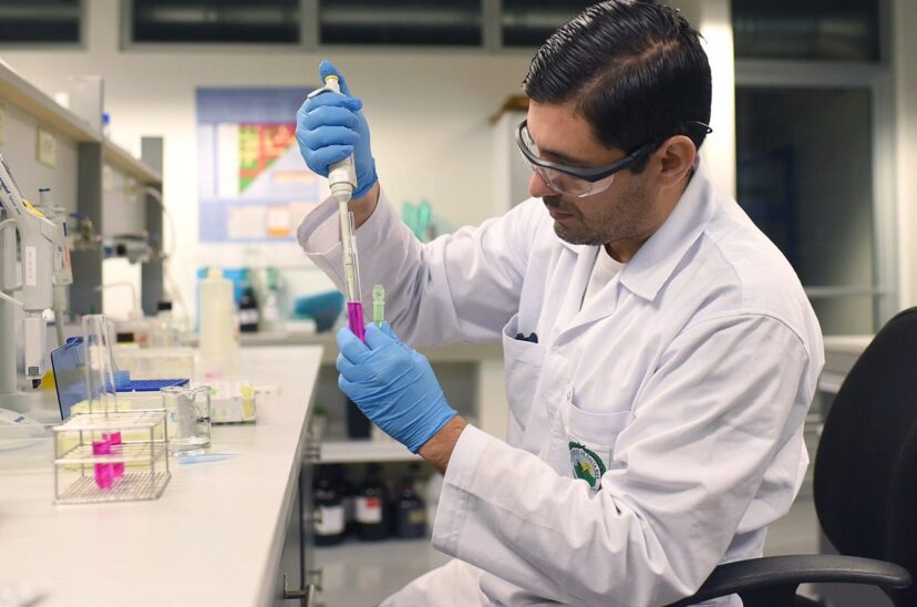 investigación-para-tratar-alergias-alimentarias