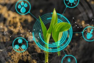 DLT-EN-CULTIVOS