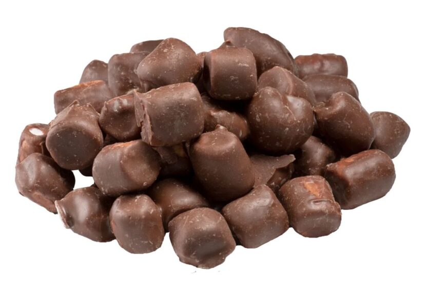 Minitapon de chocolate Chilim Balam