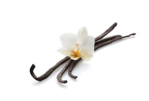 Vainilla