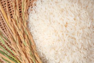 arroz