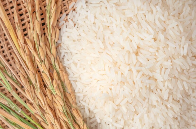 arroz