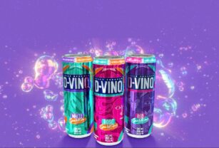 d-vino-mexicano-lata-afrutado-valle-redondo