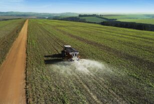 fertilizantes-quimicos