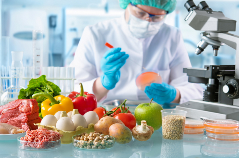química-alimentos