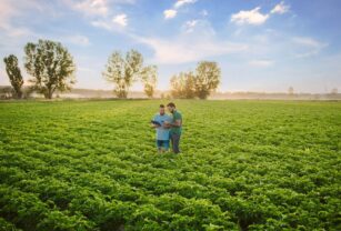 Agricultura-regenerativa