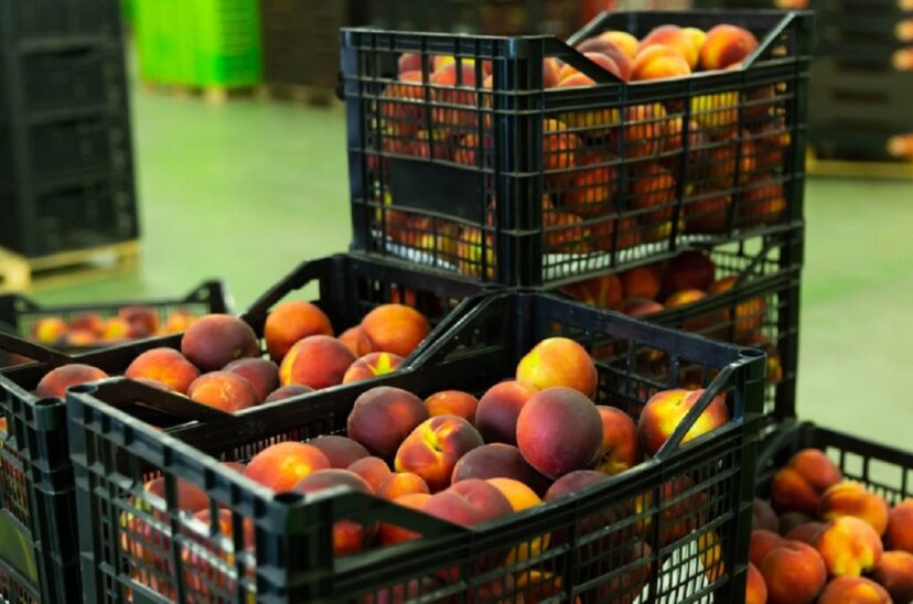 EFSA certifica proceso de reciclado de CAPEC