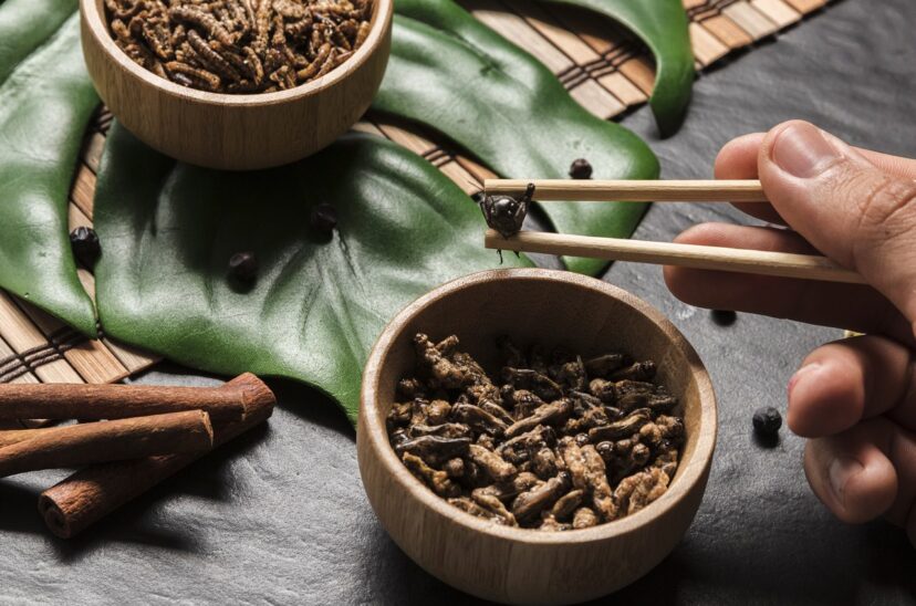 Insectos cometibles