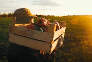 agricultores