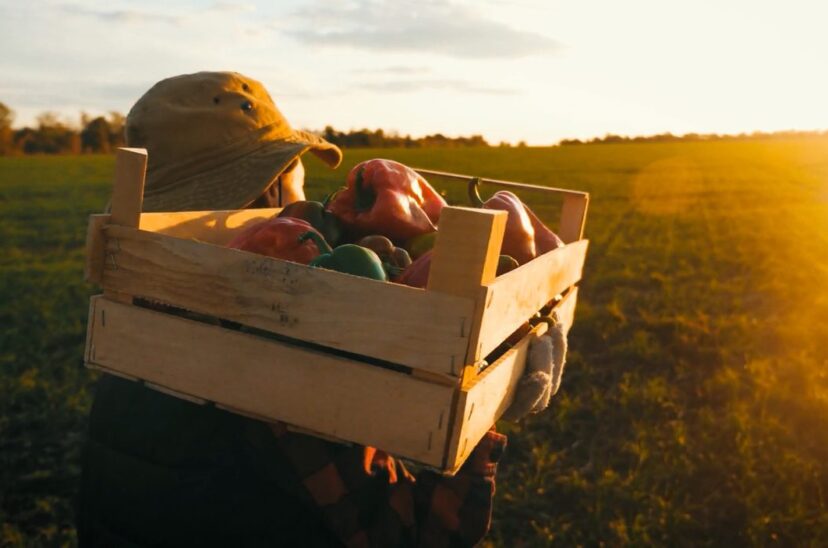 agricultores