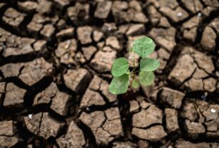 Cambio-climático