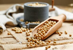 Soya-procesada