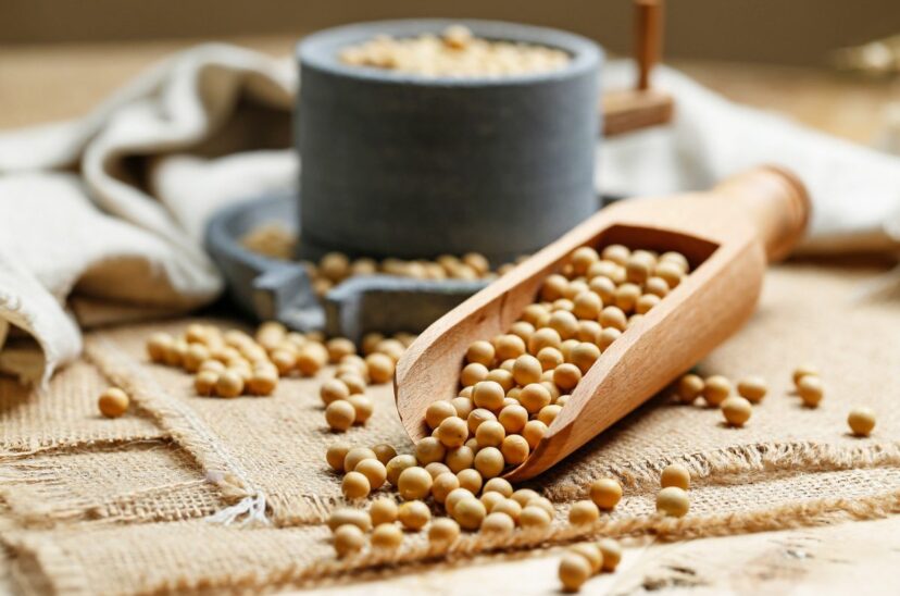 Soya-procesada