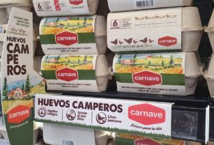 Huevo-libre-de-jaula