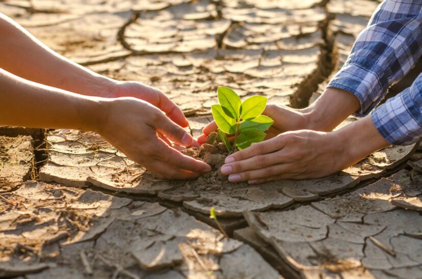cambio-climático
