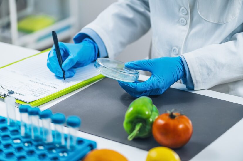 seguridad-alimentaria-principal