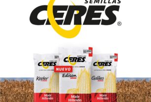 semillas-ceres