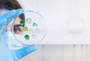 Investigador-analiza-microplásticos