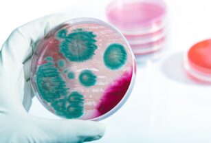 listeria-principal