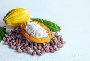 Mucílago-de-cacao
