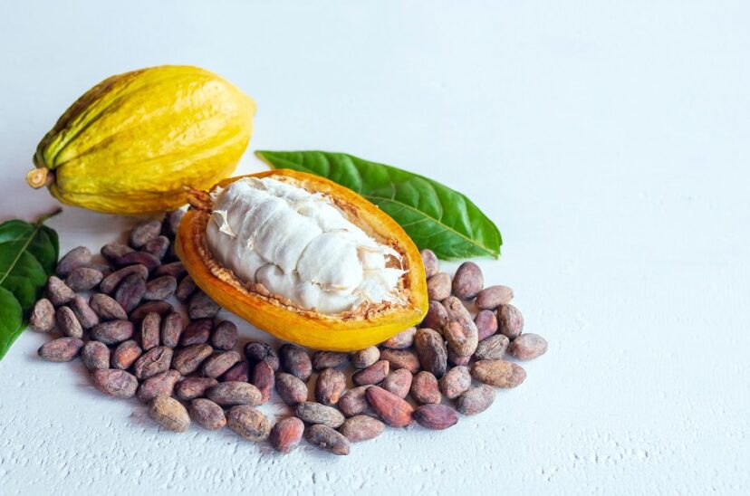 Mucílago-de-cacao