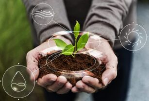 Biocombustibles
