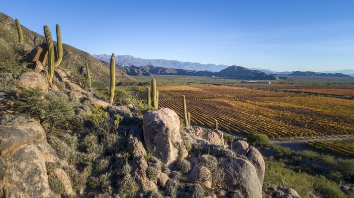 wines-of-argentina