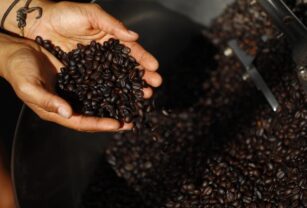 Cafetaleros mexicanos resienten efectos de la crisis climática en plantíos