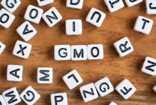 GMO