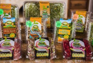 Germinados-Cultivos Naturales San Francisco