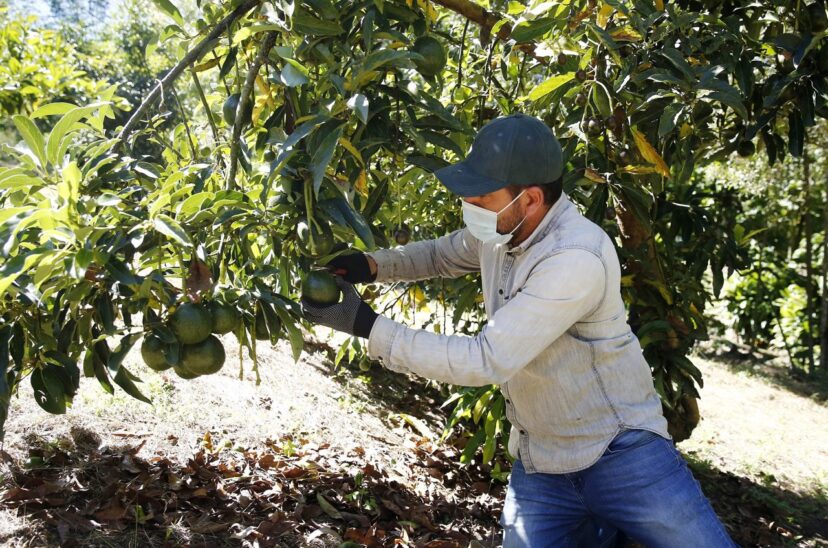 Latinoamérica, de la crisis a la oportunidad tras un año de guerra en Ucrania