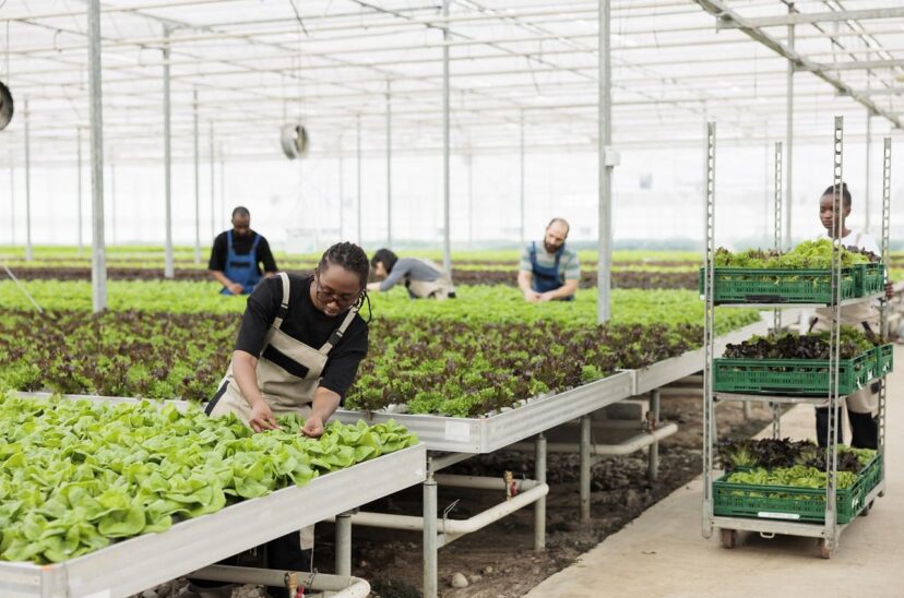 asociaciones agropecuarias