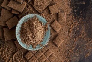 cacao-probióticos