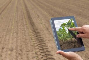 desarrollo-agrícola