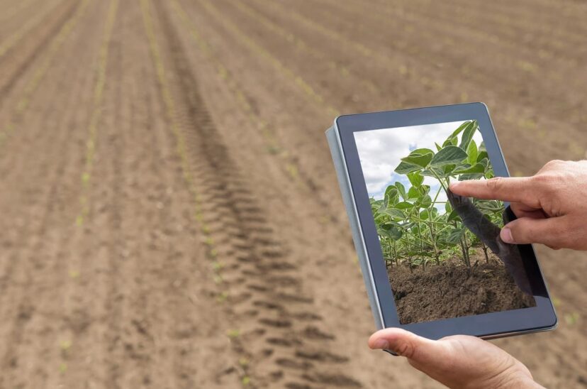 desarrollo-agrícola