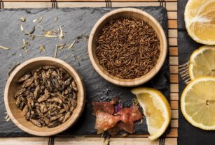 insectos-comestibles