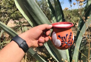 pulque-bebida-tradicional