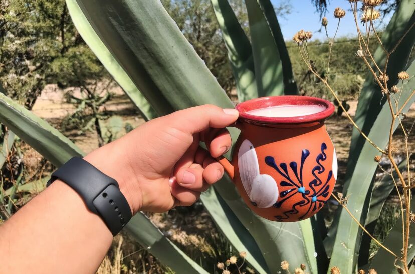 pulque-bebida-tradicional