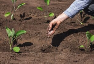 Bruselas espera activar el observatorio sobre fertilizantes antes de verano