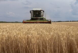 Informe del IPCC: el cambio climático aumentará la inseguridad alimentaria