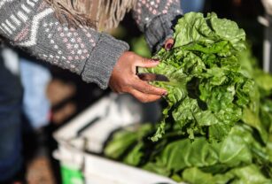 Los ingresos de divisas a Argentina por la exportación de agro caen un 74 % en febrero