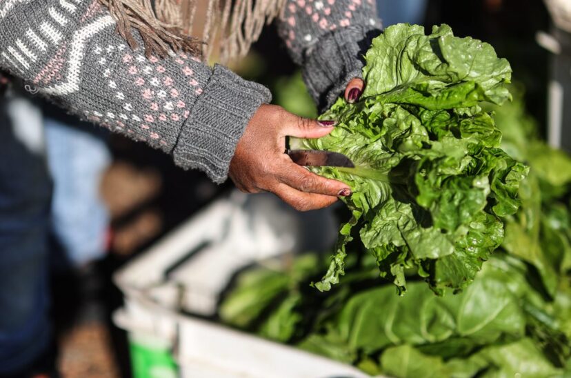Los ingresos de divisas a Argentina por la exportación de agro caen un 74 % en febrero