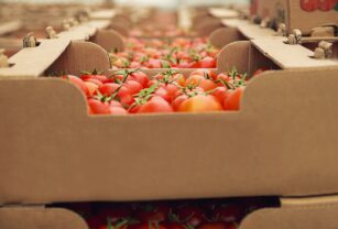 importación-de-alimentos