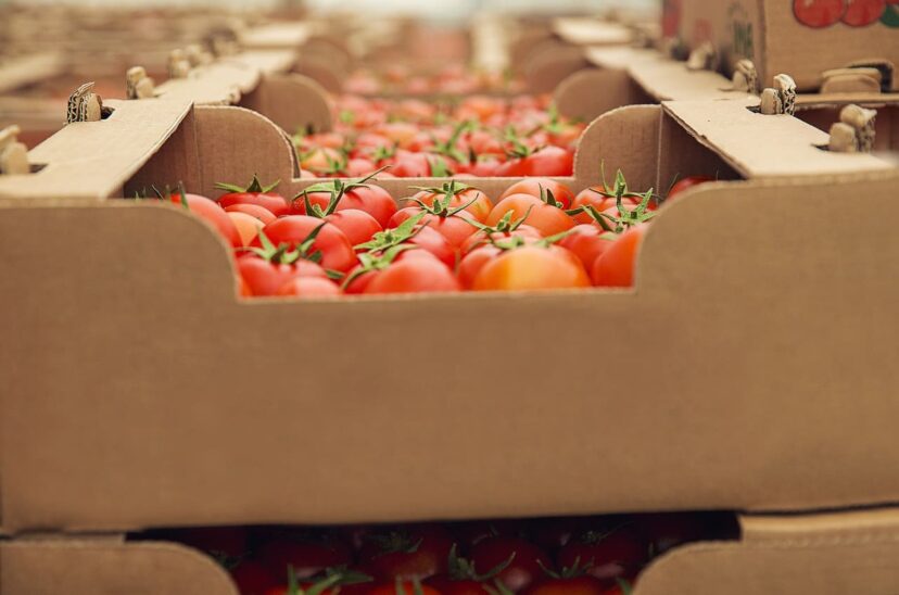 importación-de-alimentos