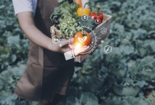 seguridad-alimentaria