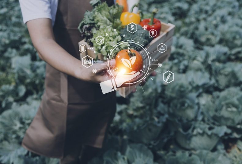 seguridad-alimentaria