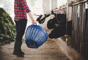 EMAV integra la aplicación de tecnologías eficientes y sostenibles para la producción de leche, a través del acompañamiento de expertos.